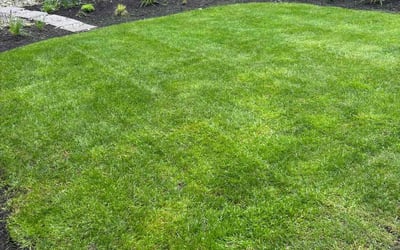 Photo of Joshua P.'s yard after getting lawn care in Woodinville, WA