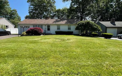 Photo of Patrick T.'s yard after getting lawn care in Wethersfield, CT