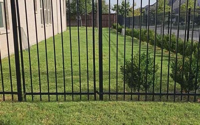 Photo of Kate V.'s yard after getting lawn care in Farmers Branch, TX