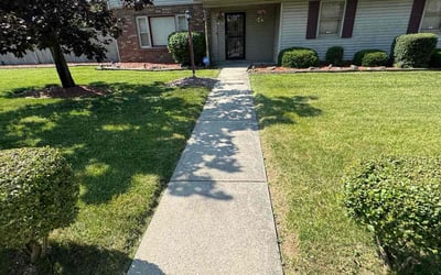 Photo of Jenn T.'s yard after getting lawn care in San Antonio, TX