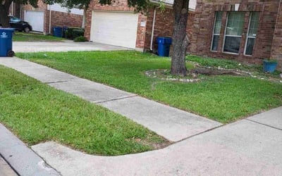 Photo of Charlotte B.'s yard after getting lawn care in Edgewater, FL