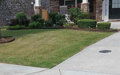 Photo of Gabriel L.'s yard after getting lawn care in Cumming, GA