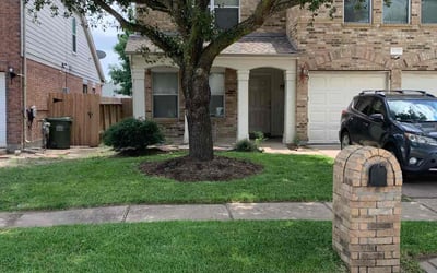 Photo of Macey V.'s yard after getting lawn care in Silver Spring, MD