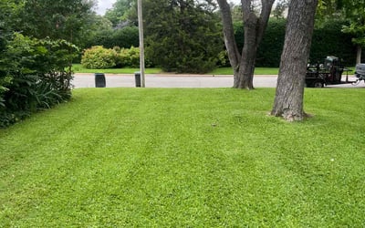 Photo of John P.'s yard after getting lawn care in Fort Worth, TX