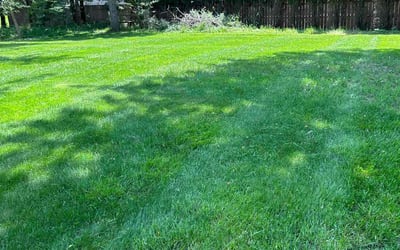 Photo of Ronald J.'s yard after getting lawn care in Grand Rapids, MI