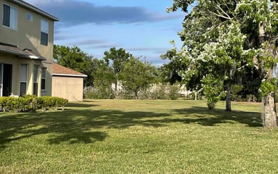 Photo of Marissa O.'s yard after getting lawn care in Carrollwood, FL