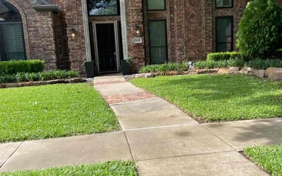 Photo of Andre R.'s yard after getting lawn care in Sunnyvale, TX