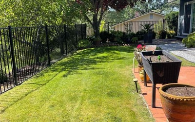 Photo of Pooja B.'s yard after getting lawn care in Orangevale, CA