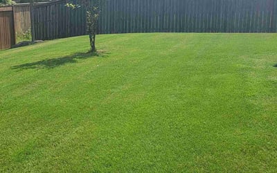 Photo of Gracee I.'s yard after getting lawn care in Newnan, GA