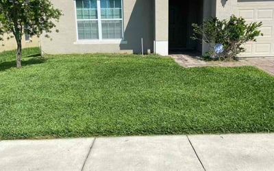 Photo of Lisa S.'s yard after getting lawn care in Somersworth, NH
