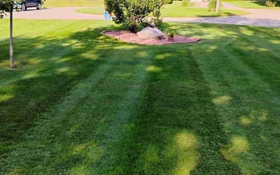 Photo of Ross M.'s yard after getting lawn care in Altoona, IA