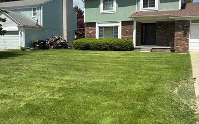 Photo of Thomas J.'s yard after getting lawn care in North Canton, OH