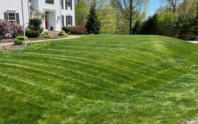 Photo of Clay R.'s yard after getting lawn care in Dover, NH