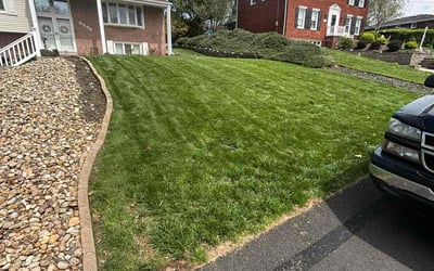 Photo of Deborah S.'s yard after getting lawn care in Bethel Park, PA