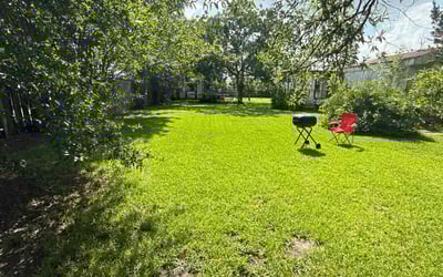 Photo of Mike F.'s yard after getting lawn care in Blacklick, OH