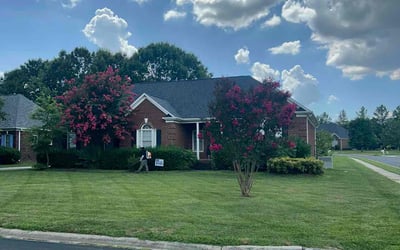 Photo of Michael M.'s yard after getting lawn care in Oldsmar, FL