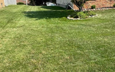 Photo of Robert K.'s yard after getting lawn care in Cheektowaga, NY