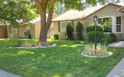 Photo of Michelle C.'s yard after getting lawn care in Caldwell, ID