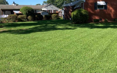 Photo of Shelia T.'s yard after getting lawn care in Waynesboro, VA