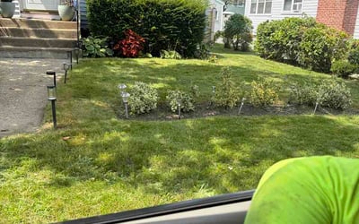Photo of Kevin H.'s yard after getting lawn care in Severn, MD