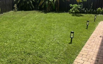 Photo of Matthew J.'s yard after getting lawn care in Youngsville, NC