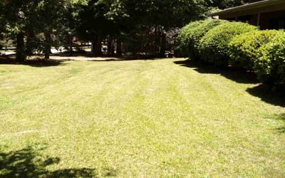 Photo of Justin C.'s yard after getting lawn care in Pekin, IL