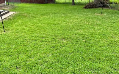 Photo of Tina G.'s yard after getting lawn care in Ossining, NY