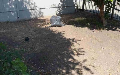 Photo of Matthew G.'s yard after getting tree care in Casselberry, FL