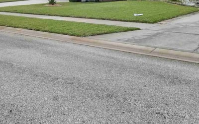 Photo of Robin D.'s yard after getting lawn care in Edgewater, FL