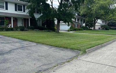 Photo of Gloria M.'s yard after getting lawn care in Bloomfield Hills, MI
