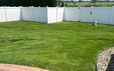 Photo of Rachael D.'s yard after getting lawn care in Schererville, IN