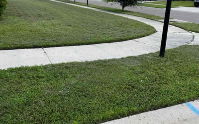 Photo of Taylor S.'s yard after getting lawn care in Eau Claire, WI