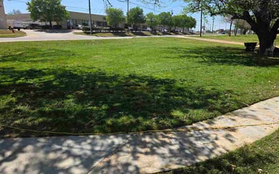 Photo of Michelle R.'s yard after getting lawn care in Pittsboro, NC