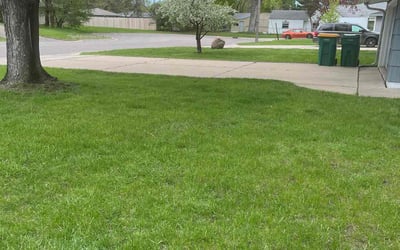 Photo of Thomas S.'s yard after getting lawn care in Brooklyn Center, MN