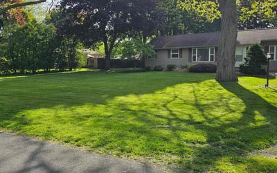 Photo of Suzanne S.'s yard after getting lawn care in Topeka, KS