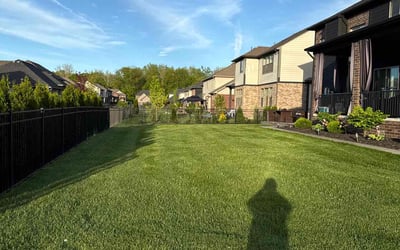 Photo of Jessica C.'s yard after getting lawn care in Belton, TX