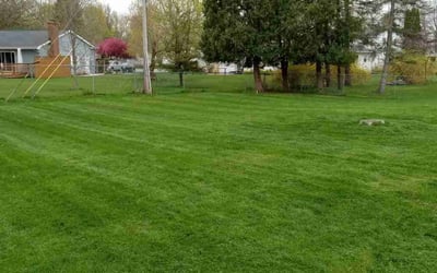 Photo of Petra F.'s yard after getting lawn care in Charlotte, MI