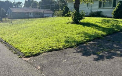 Photo of Julie P.'s yard after getting lawn care in Enfield, CT