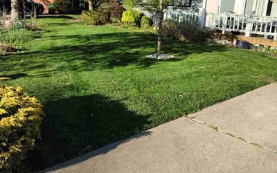 Photo of Reagan M.'s yard after getting lawn care in Holt, MI
