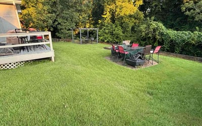 Photo of Maricela S.'s yard after getting lawn care in Temple, GA