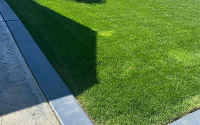 Photo of Megan M.'s yard after getting lawn care in Vancouver, WA