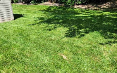 Photo of Ambareesh M.'s yard after getting lawn care in Holly Springs, NC