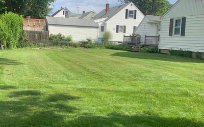 Photo of Genny B.'s yard after getting lawn care in Cranston, RI