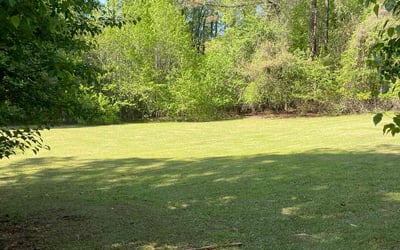Photo of Ayanna C.'s yard after getting lawn care in Fayetteville, GA