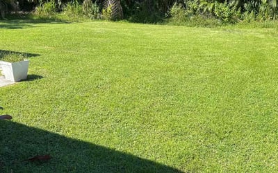 Photo of Dennise M.'s yard after getting lawn care in Fort Myers, FL
