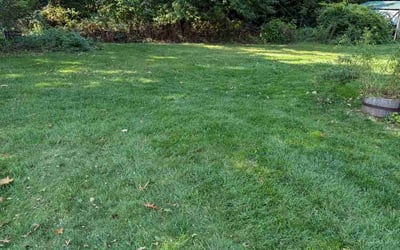 Photo of Xihong Y.'s yard after getting lawn care in Linden, MI