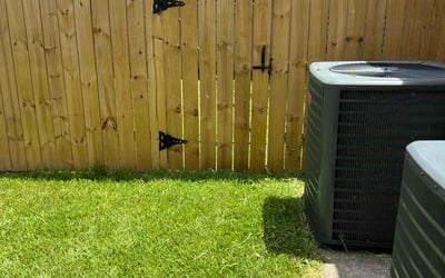 Photo of Catherine D.'s yard after getting lawn care in Alameda, CA