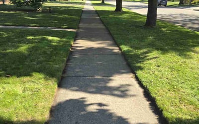 Photo of Niera S.'s yard after getting lawn care in Saint Charles, MO