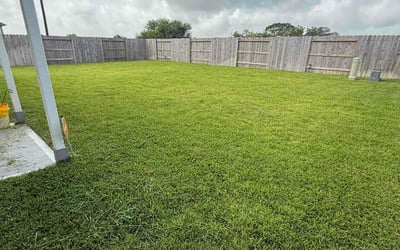 Photo of Tyrone E.'s yard after getting lawn care in Abilene, TX