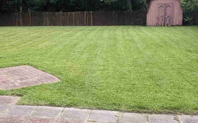 Photo of David S.'s yard after getting lawn care in Windsor, VA